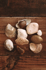 Close up decorative stones and seashells of different beige white gold shades on a blurred brown wooden table. Natural material. Top view