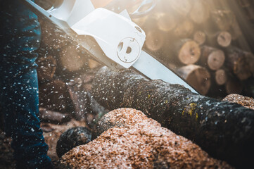 Chainsaw. Close-up of woodcutter sawing chain saw in motion, sawdust fly to sides. Chainsaw in motion. Hard wood working in forest. Sawdust fly around.