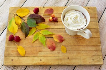 Cozy mug of gourmet hot chocolate with whipped cream with autumnal leaves as decorative and colourful background