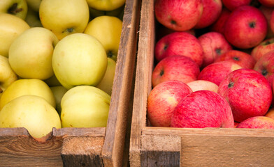Organic apples harvest in wooden boxes in the supermarket are sorted by varieties.  Wooden crate box full of fresh red and yellow apples on outside street city market. Tasty delicious apples