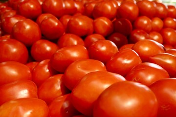 Red Tomato
