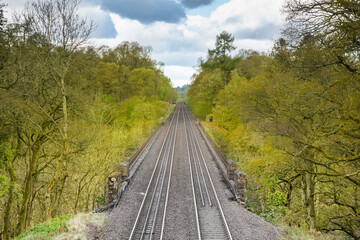 Fototapeta na wymiar Double Railroad tracks through a forest in springtime.