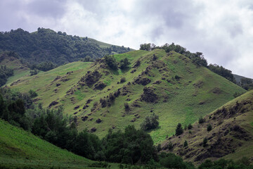 Obraz premium Mountain landscape with blue sky. Panoramic view of green hills.