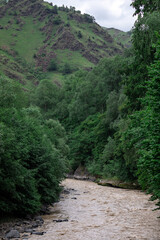 Fototapeta na wymiar Mountain Landscape With A River. Panorama of a mountain river.