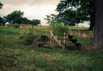 abandoned staircase in a field