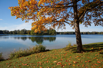 Obraz premium autumn trees on the lake