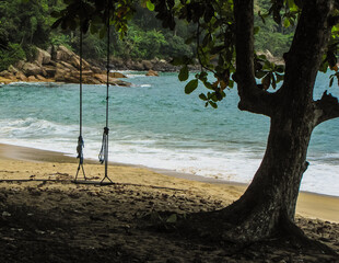 Swing in paradise beach in Brazil - Praia do Cedro, Ubatuba, SP