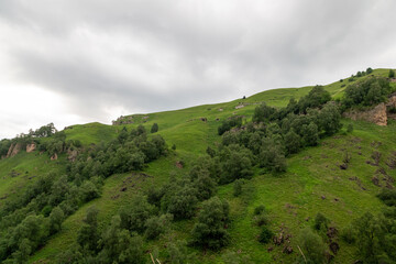 Obraz premium Mountain landscape with blue sky. Panoramic view of green hills.