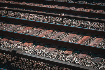 Naklejka premium wood and metal railroad tracks