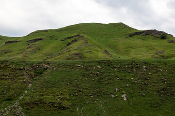 Fototapeta premium Mountain landscape with blue sky. Panoramic view of green hills.