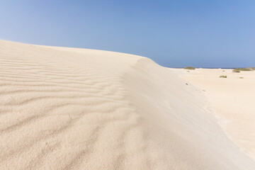 The Dunes of Corralejo. Fuerteventura, Canary Islands. Spain.