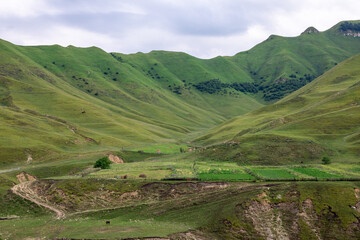 Fototapeta premium Mountain landscape with blue sky. Panoramic view of green hills.