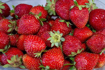 Fresh ripe red strawberries for cooking delicacies.