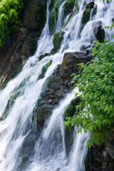 Fototapeta na wymiar 新緑の白ひげの滝
