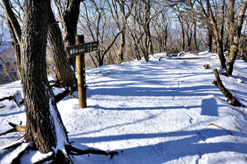雪化粧した山稜 丹沢山地の鍋割山