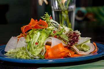 Vegan  Salad of fresh vegetables: lettuce, carrots and daikon is on the plate