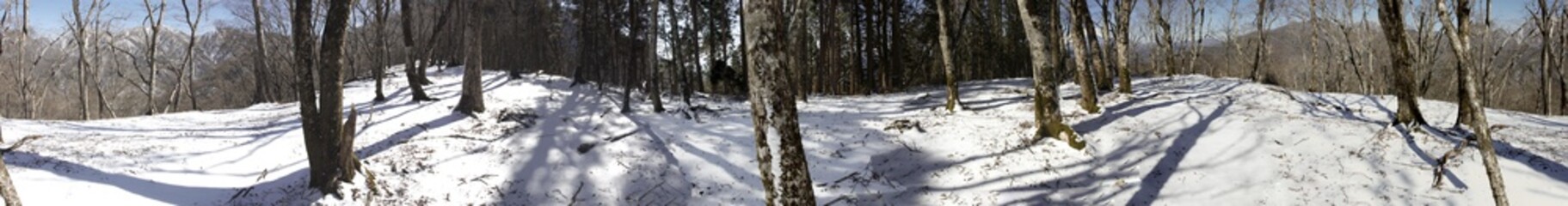 Fototapeta premium 厳冬期の丹沢山地 鉄砲沢ノ頭山頂のパノラマ写真