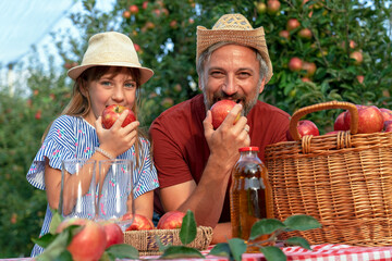 Little Girl and Her Father With A Basket of Appetizing Red Apples and Apple Juice in Sunny Orchard