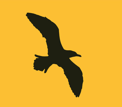 recommend clip art: seagull at the sunset