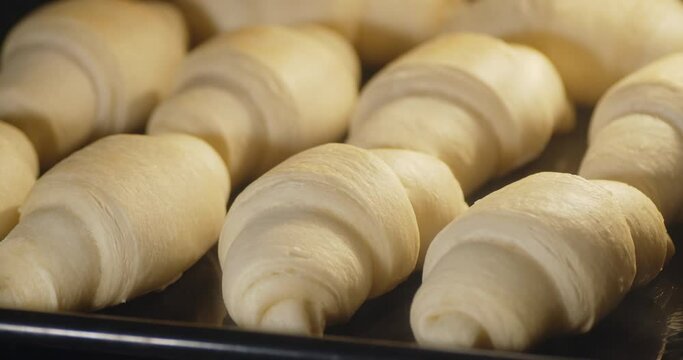 Timelapse croissants are baked in the oven.
