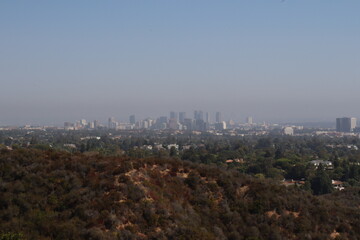 city skyline blanketed in hazy smog