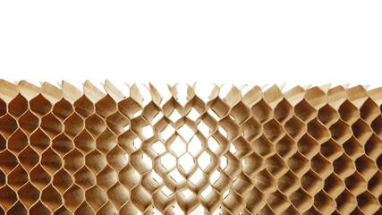 honeycomb cells of cardboard stiffering rib background