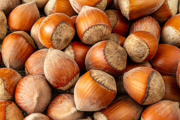 Hazelnuts in the shell. Close-up. Background