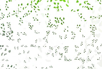 Light Green vector background with abstract forms.
