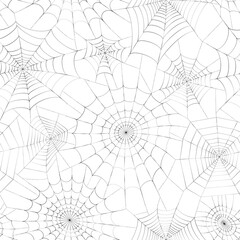 Spider web concept