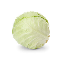 Whole fresh ripe cabbage isolated on white