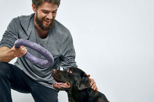 Unveiling the Truth: Can Dogs Safely Consume Eggplant Treats? Find out how to serve eggplant to your furry friend safely