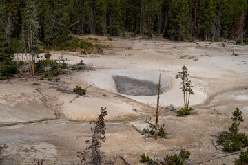 Mud Volcano and Sulfur cauldron are mud pots and fumaroles, in Yellowstone National Park Wyoming