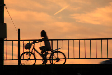 Fototapeta premium 夕景のシルエット