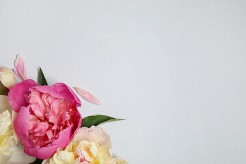 Fototapeta premium Beautiful fresh peonies and leaves on light grey background, flat lay. Space for text