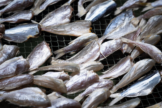 Dry fishes in local market shelf. Food preservation method photo, Selective focus at the center part.
