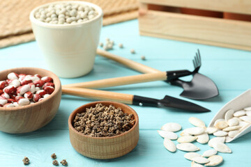 Different vegetable seeds and gardening tools on light blue wooden table