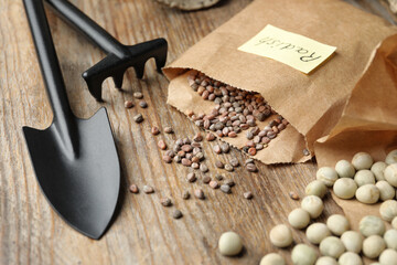 Vegetable seeds and gardening equipment on wooden table, closeup