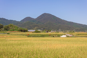 初秋の二上山
