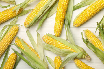 Corn cobs on white wooden table, flat lay