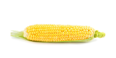 Ripe raw corn cob with husk isolated on white