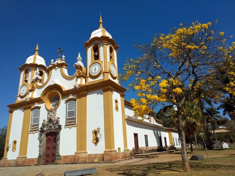 catolic church  golden age with yellow ipe tree - tiradentes minas gerais brazil 