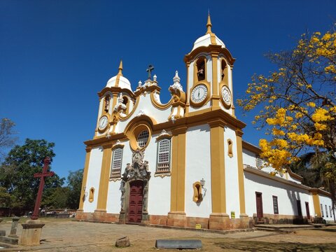 catolic church  golden age with yellow ipe tree - tiradentes minas gerais brazil 