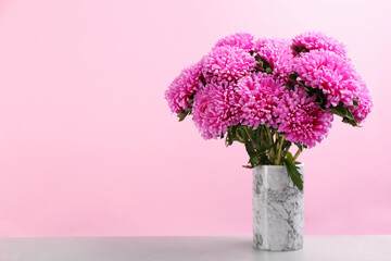 Beautiful asters in vase on table against pink background, space for text. Autumn flowers