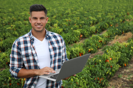 Man with laptop in field. Agriculture technology