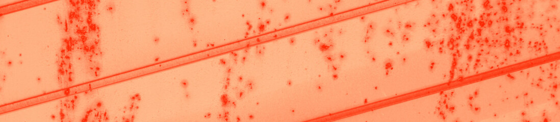 abstract live coral color background for design