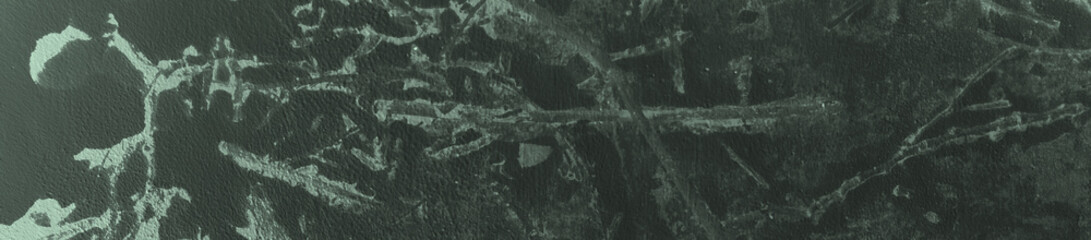 abstract black and light green colors background for design