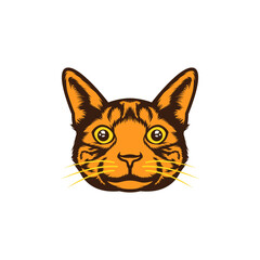 Obraz premium head illustration of a orange cat