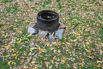 rusty firepit with yellow autumn leaves fallen on green grass