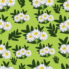 Chamomile pattern