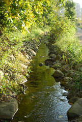 長津田みなみ台緑道（横浜市緑区）